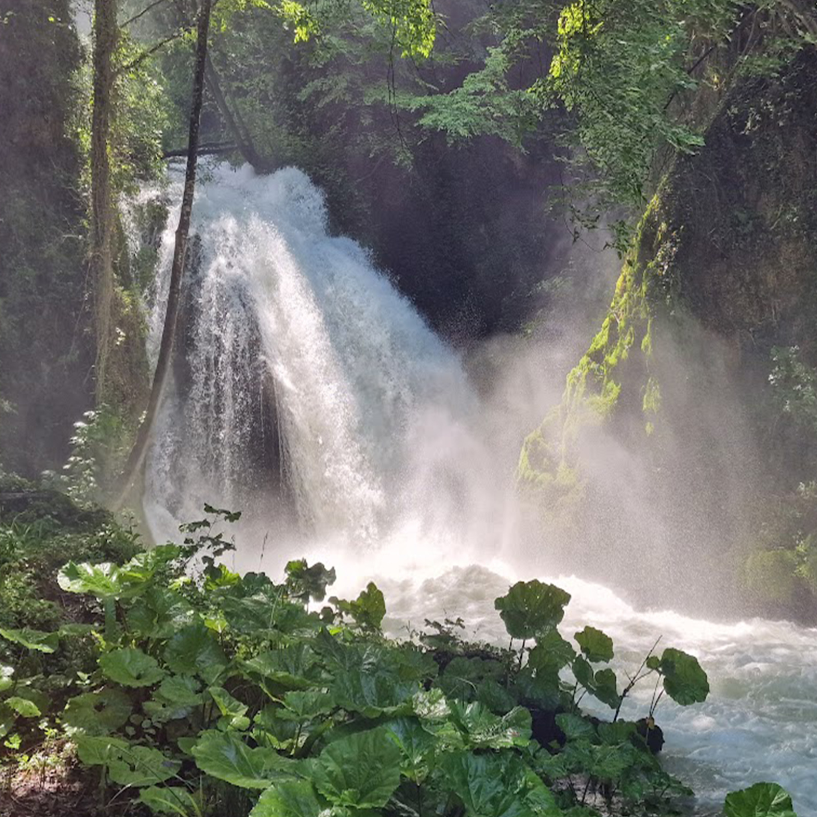 E08. ESPERIENZE DI GEOLOGIA (Belvedere Superiore)