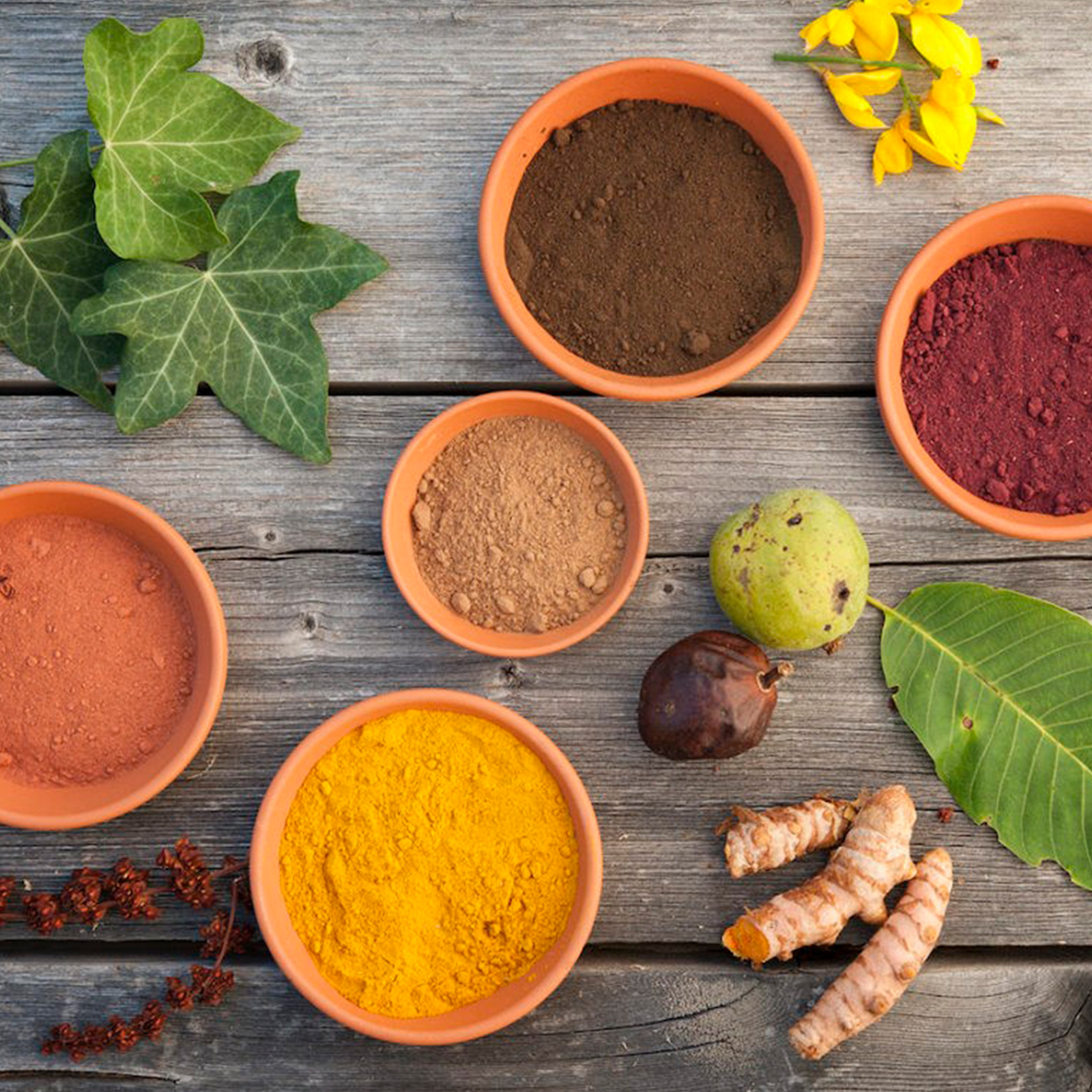 E05. PIANTE TINTORIE (Belvedere Inferiore)