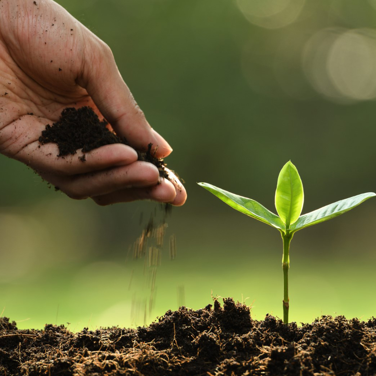 E03. Visite Naturalistiche (Belvedere Inferiore)