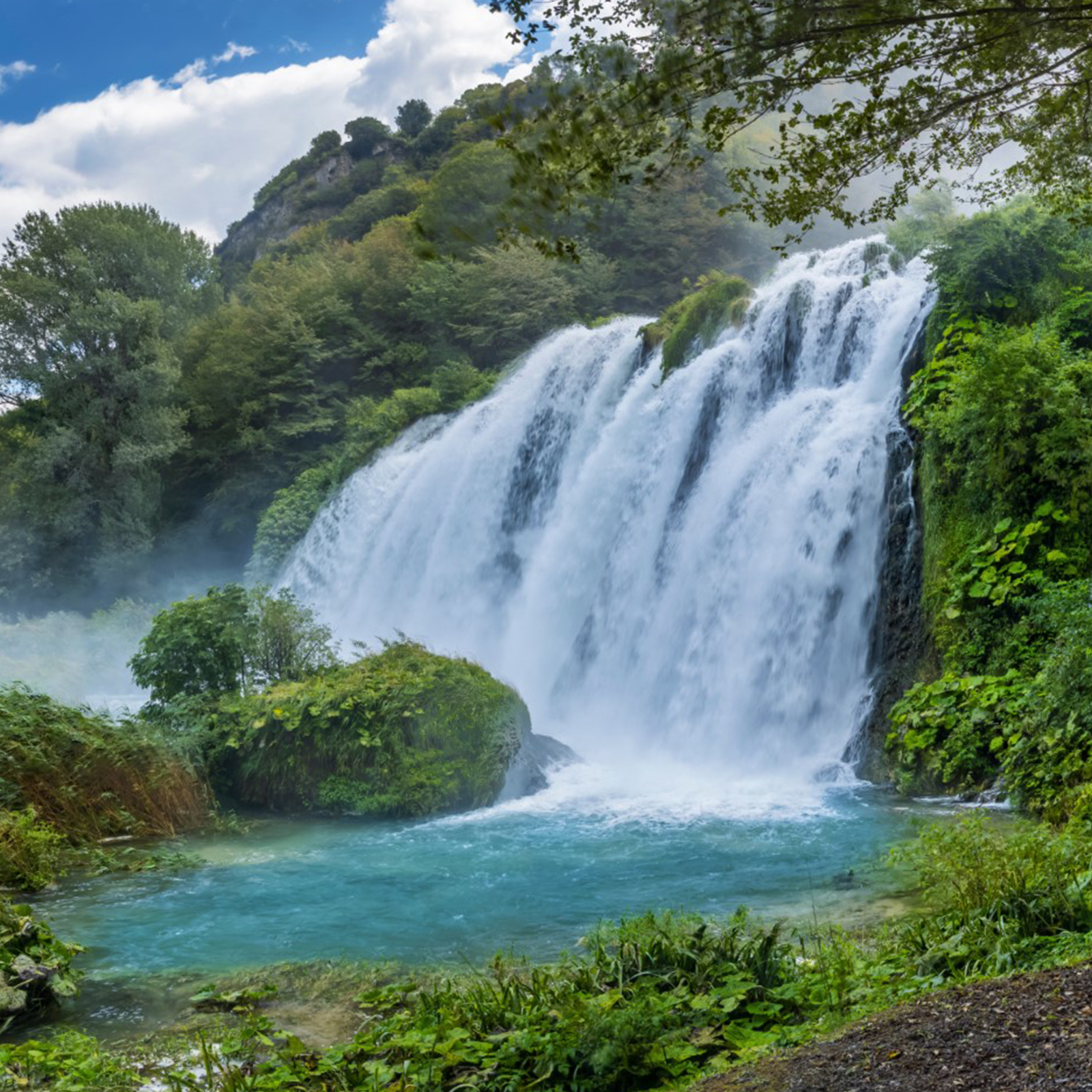 P03. Visite Naturalistiche (Belvedere Inferiore)