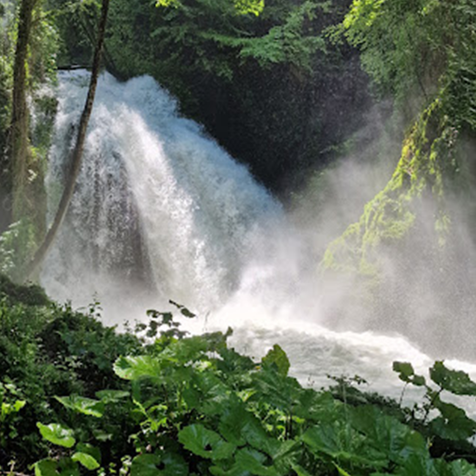 E11. ALLA RICERCA DELL’ANELLO DELLA NINFA (Belvedere Inferiore)